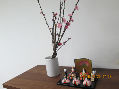 書庫の上のお雛さんと桃の花